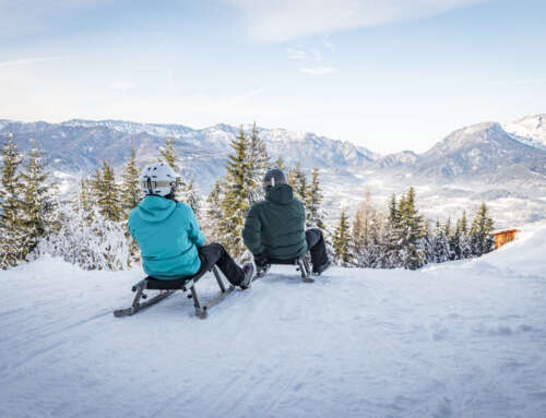 Erster Welt-Rodel-Tag am Jenner – Testen Sie die neue Rodelbahn Jennerhex